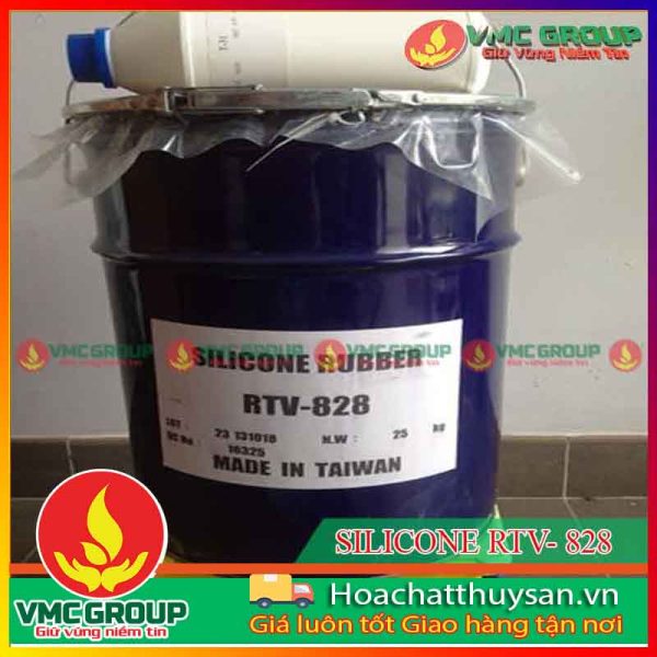 silicon-828-tao-khuon-xay-dung-hcts